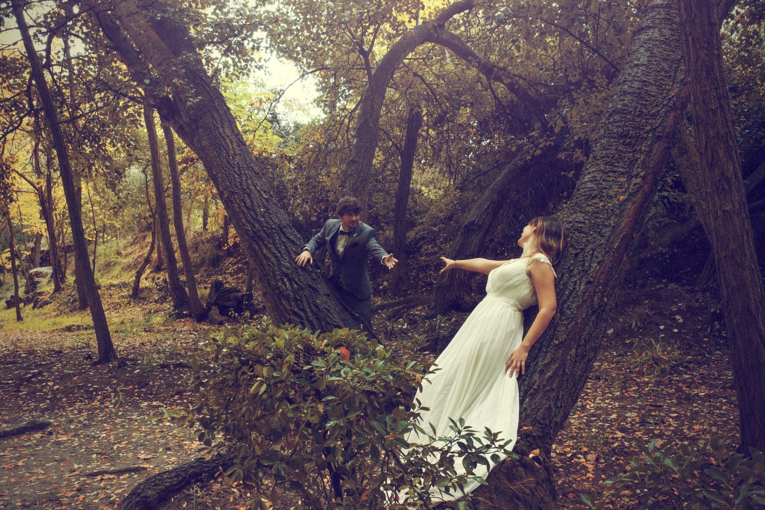 novia busca a novio en bosque